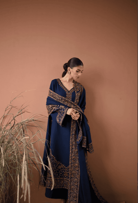 BT 2880A - 3 Piece Unstitched Embroidered Dhanak Fabric With Embroidered Dhanak Shawl