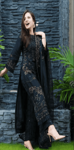 3 Piece - Unstitched Fully Embroided Dhanak Fabric with Organza Dupatta NS-32